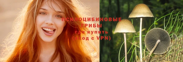 эйфоретик Балахна