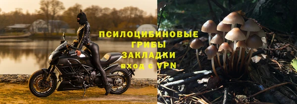 эйфоретик Балахна